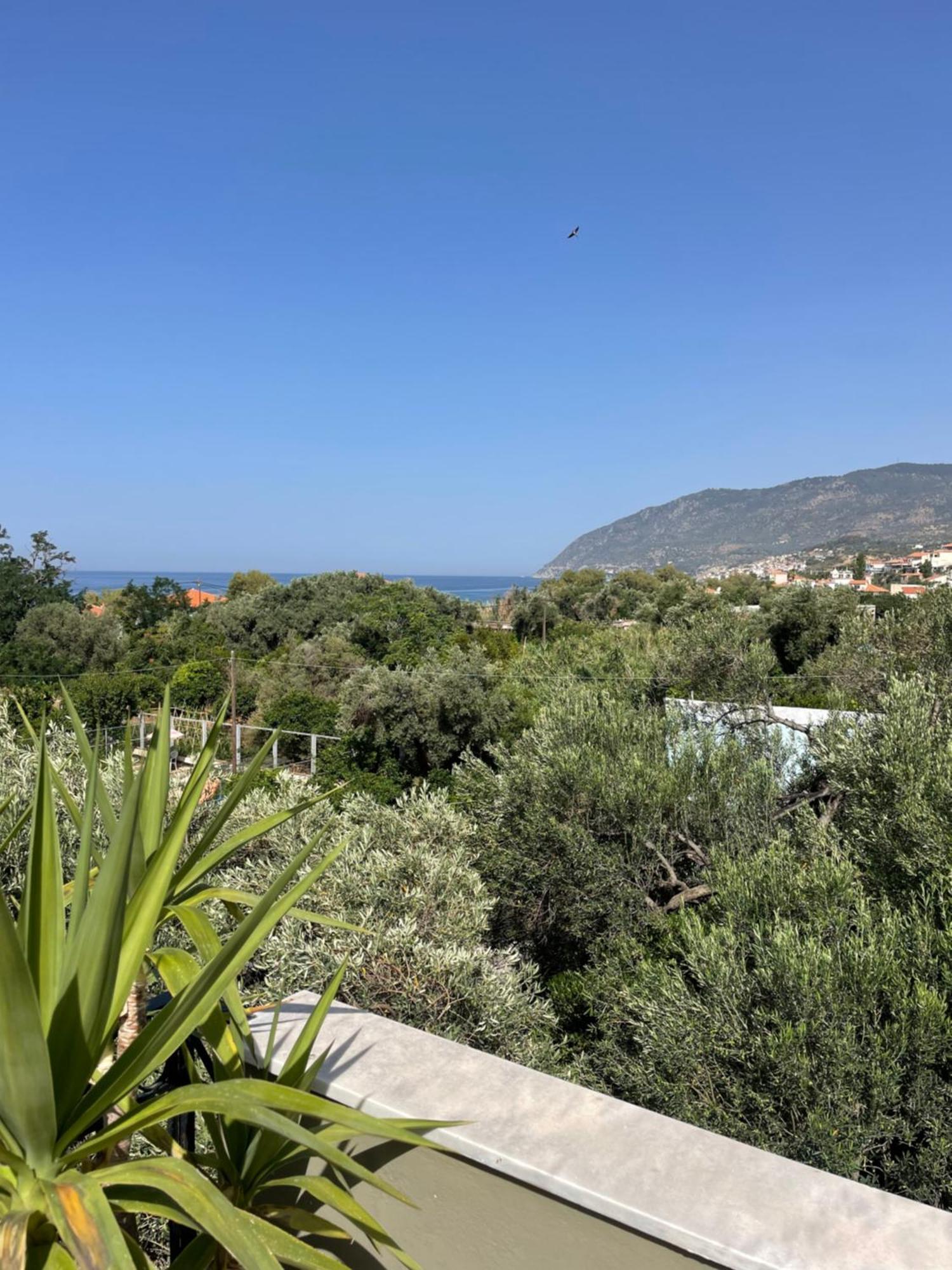 Beachfront Estate In Agios Isidoros Plomari Exterior photo